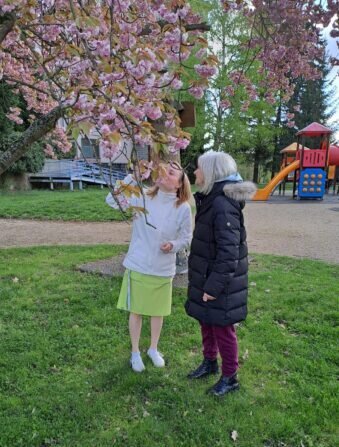 85a2a12c-cd3e-4a62-83b3-f52a29a28c5f