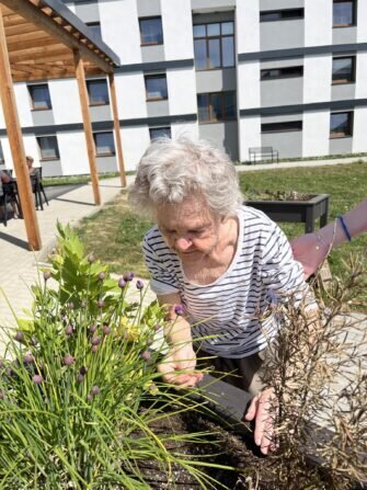 8aef9129-c409-41c4-bb64-aeb7a95afb38