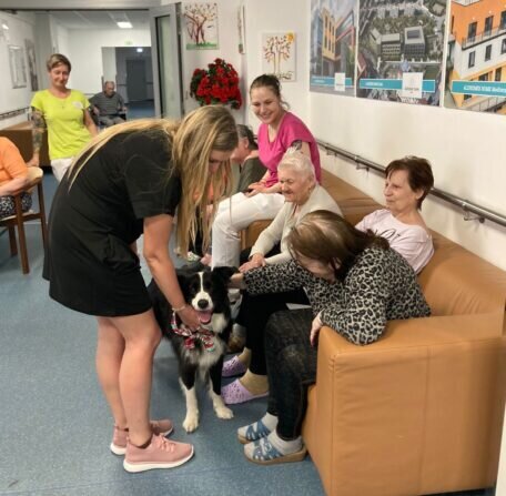 9faf7e70-8f69-4799-a7b8-762cc85aa43a