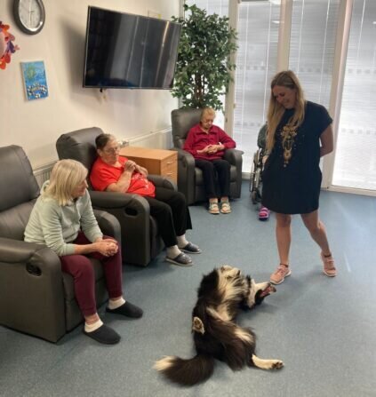 b24608e6-782d-471f-8fa4-e851baaeea21