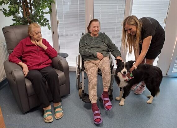 d1f8009c-a27c-4b38-81ef-78db4d9f8760