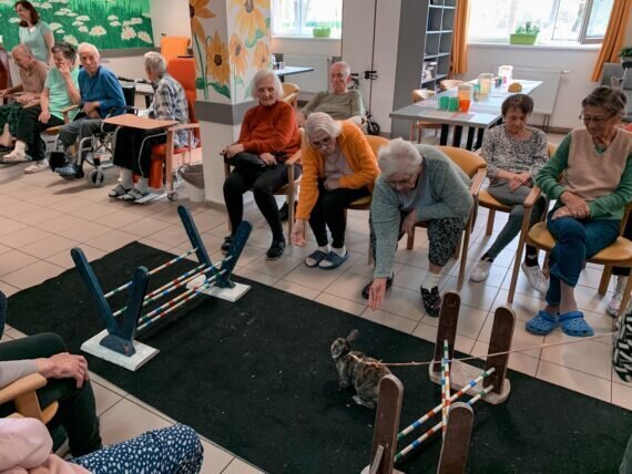 Processed with Focos