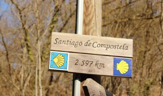 nature-3306920_1280-1020x600