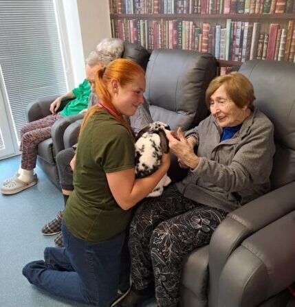 145e784b-94b2-447c-af01-561c1273a6a2