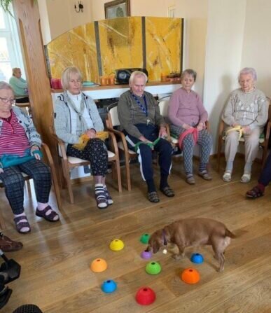 2023 01 canisterapie (3)