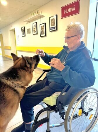 422032892_420649927344668_5240227525476804270_n