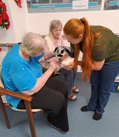 7ca36fa6-824a-438d-be93-9bff60c53add