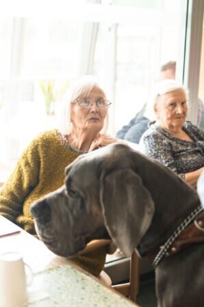 PHOTO-2024-05-21-18-13-09