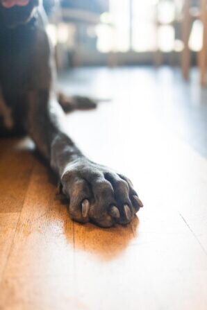 PHOTO-2024-05-21-18-13-13