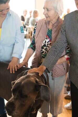 PHOTO-2024-05-21-18-13-15 2