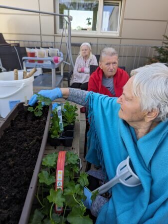 PXL_20240412_084158295