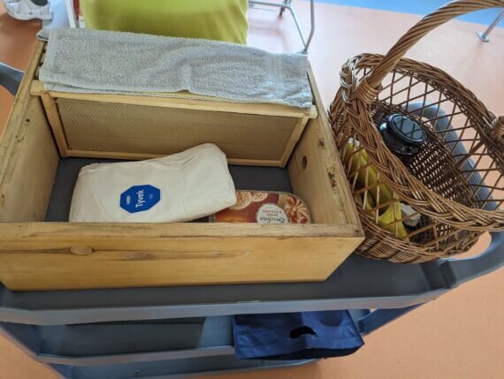 PXL_20240520_075345251