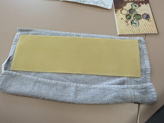 PXL_20240520_080022002