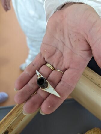 PXL_20240520_082303810