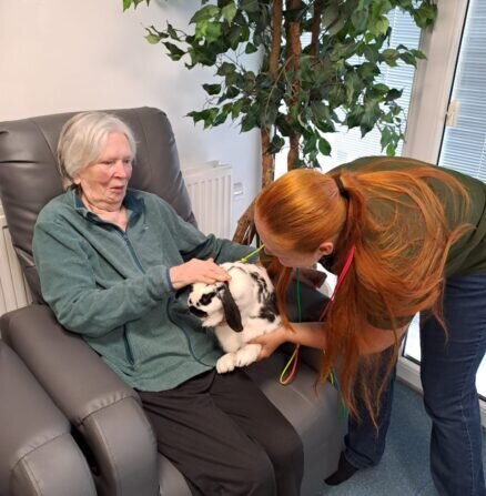 a50efcfb-1e12-4641-aea5-e72017775d15