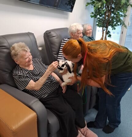 cff4d70e-6473-4b38-afa6-7551f05aa022