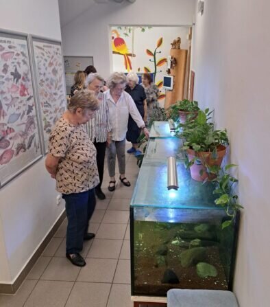 0a52c4a1-ffd3-42de-ba26-8c62a3c6fe04