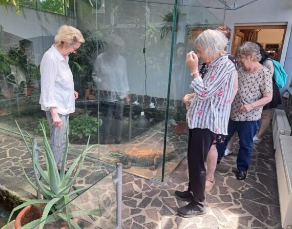 0b207b76-3ad7-4be9-80e0-c205b388bf12