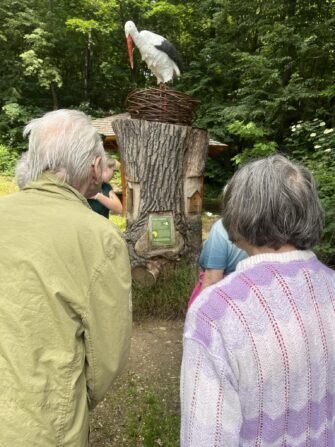 10fc18a3-1706-4386-a771-a3ac4fb3aa18