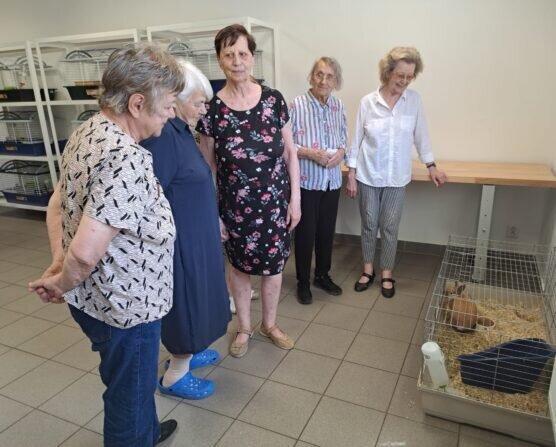 26446328-36e4-4cb7-ba0b-4243e88d9a23