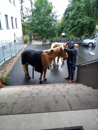 426739444_860216146145421_3058928515692415021_n