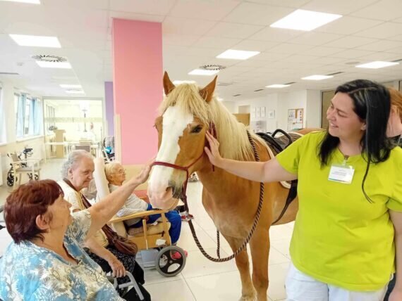 444215659_860214016145634_6106925181849999080_n