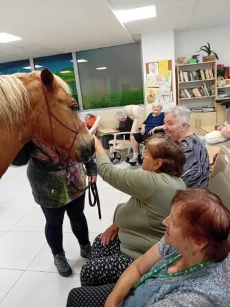 445076980_860214062812296_2988606536855136907_n