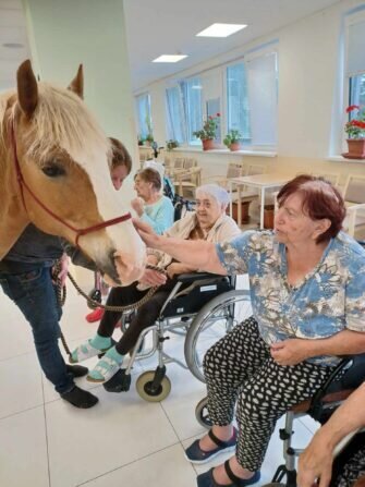 445174352_860213629479006_3150491177887535063_n