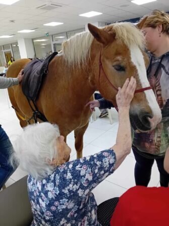 445186707_860214189478950_3277272766984062945_n