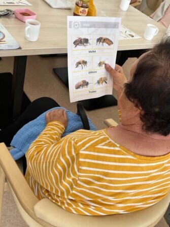 447846226_437589639076998_7377734965753557372_n