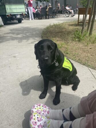 447880755_755655589973877_5132459510635235682_n