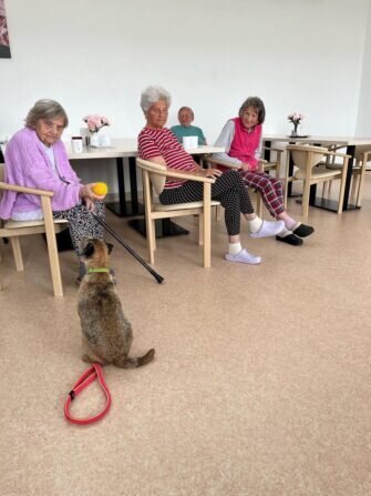 448100103_1188023775893295_7559294774946553802_n