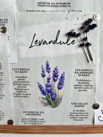 448124923_829515728648341_2756323266305343161_n