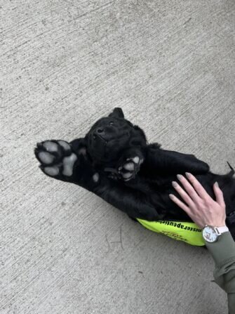 448334649_1709436529795676_5651722847666162636_n