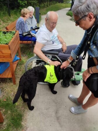 448389927_492069243186432_7054636425254911085_n