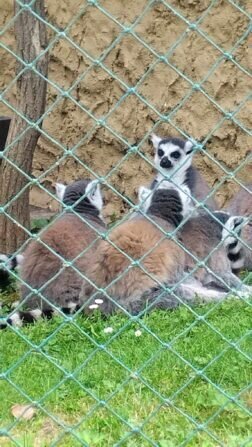 448732205_1647726035985141_9047527471161771534_n