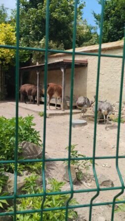 448737681_1450975238872474_5013552714600687888_n