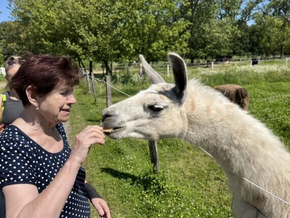 448752502_448866968006459_2800654356128642451_n