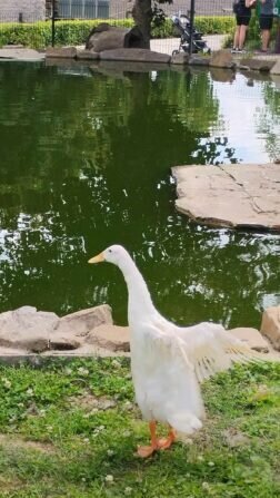 448779258_469173755762222_1486695005213068899_n