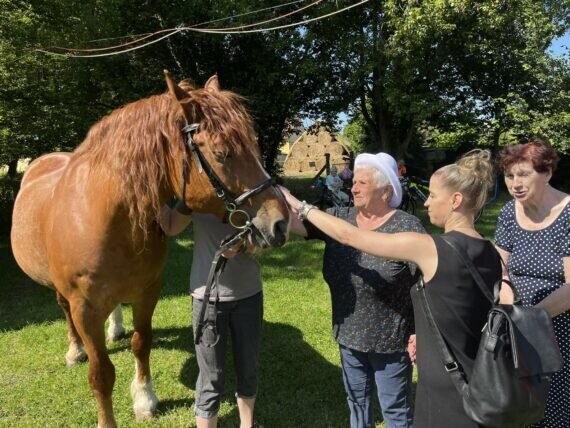 448813704_900499158502658_6272280921855966232_n