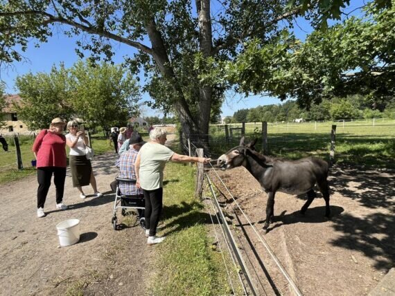 448844697_440086735497784_6861232190436033458_n