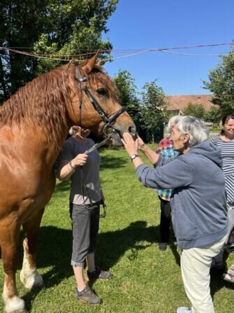 449145042_1971783536610679_8434143110138215242_n