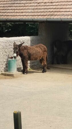 449366737_711778597723722_5798408216177542094_n