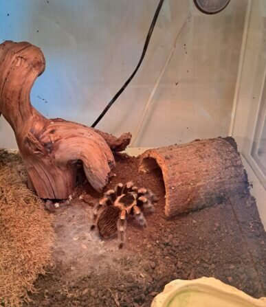 6f9a199c-60d6-4f67-b5ce-b6a15728a55b