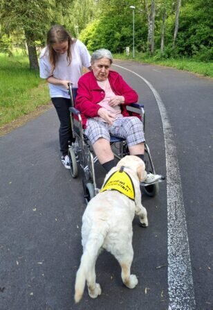 85a8522c-7c4b-4d74-bb32-a11e53948f2a