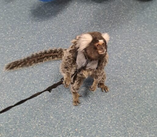 07c20bcb-c6f6-4d52-b19c-5e84b96c3a35