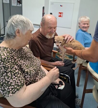 156f8bfd-dc3c-4d21-b09e-deaf35155bcc