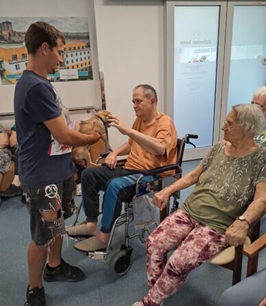 22deb2b5-147e-4b2c-9c46-d6b4268fc617