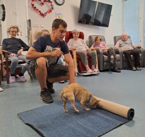 4478c62f-0f3d-472a-88ce-bf5d4ee3897f