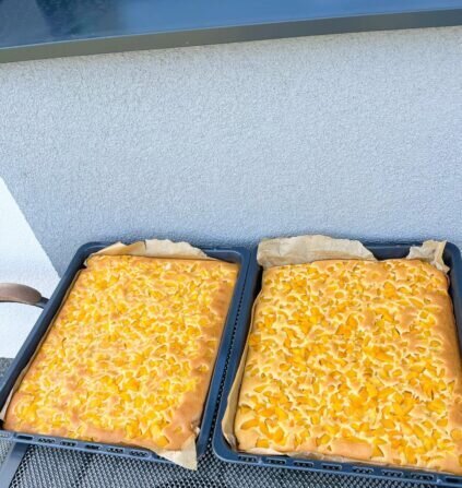 452079127_854510109971827_5831211658729511085_n